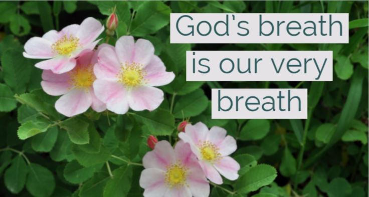 gods breath.JPG