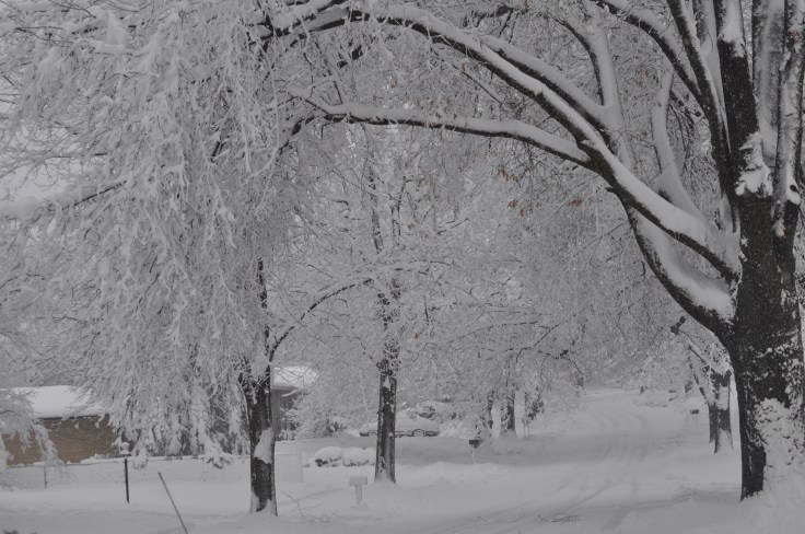 nebraska anderson dr