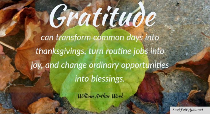 gratitude soul