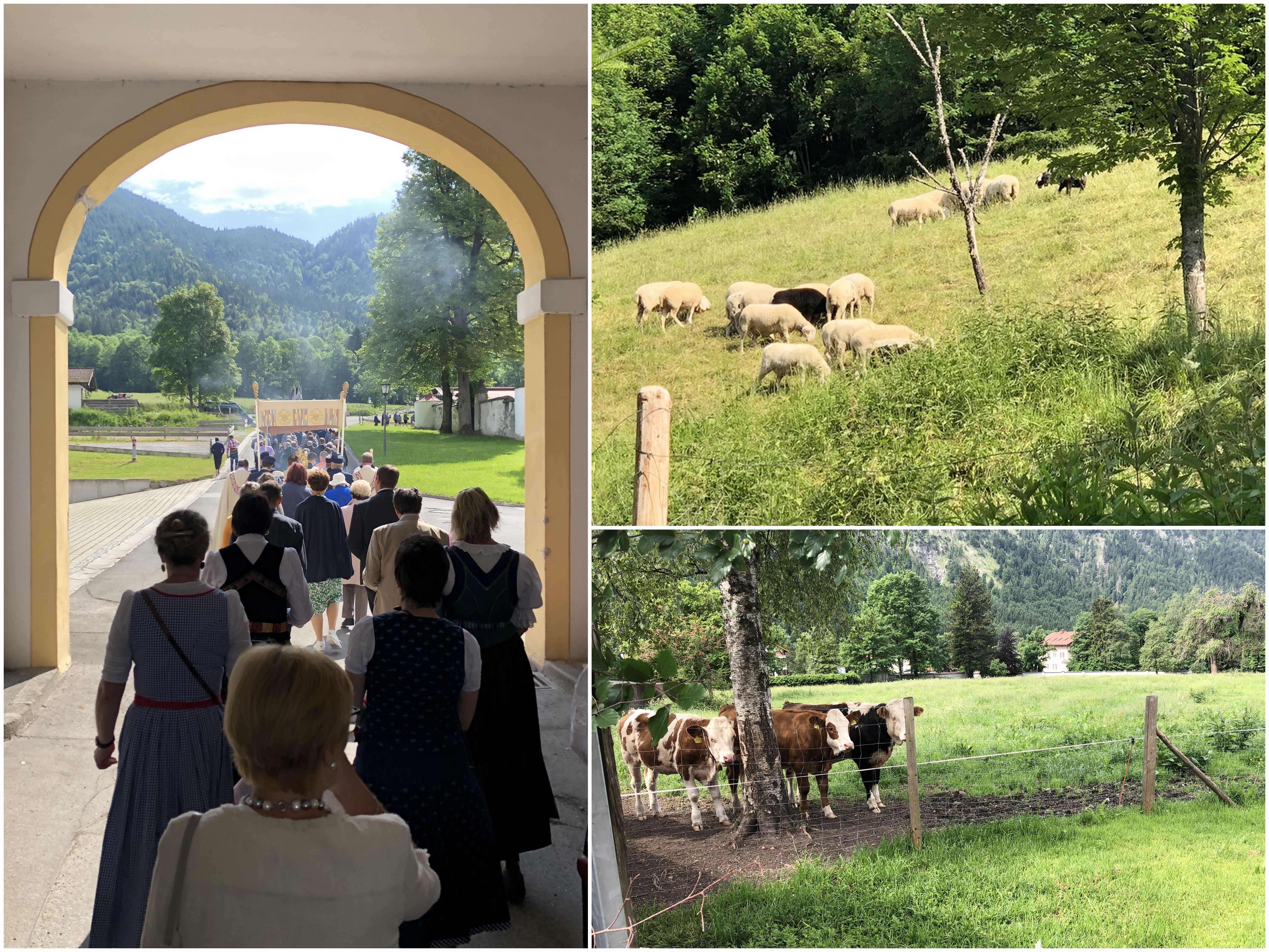 8 Wies Oberammergau Ettal