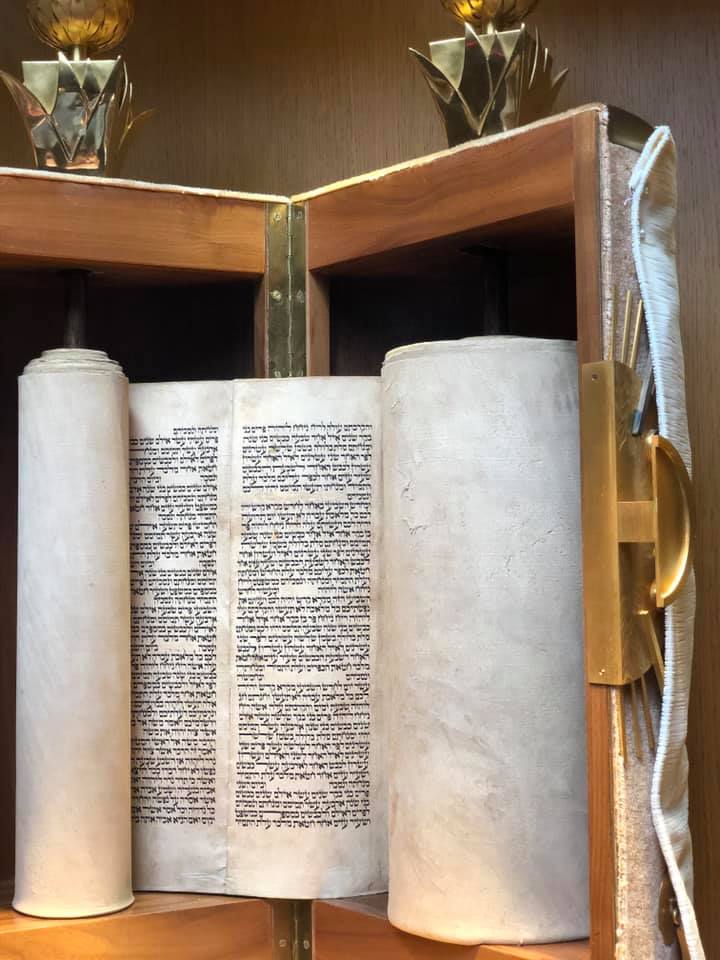 71206637_10219892609775997_6935749842278809600_n