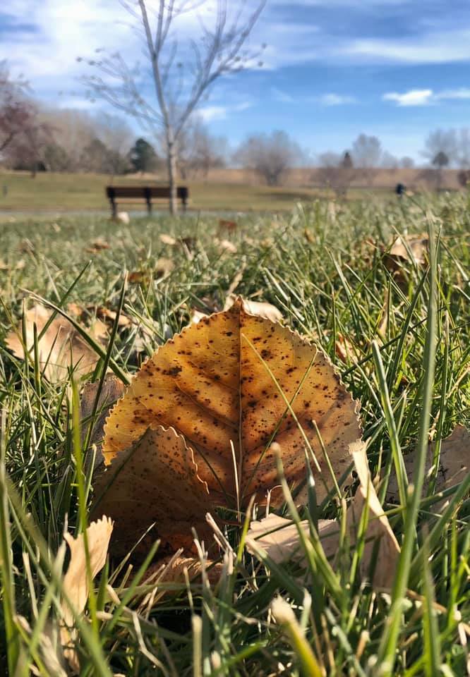 75241133_10220325196390392_1066146517934407680_n