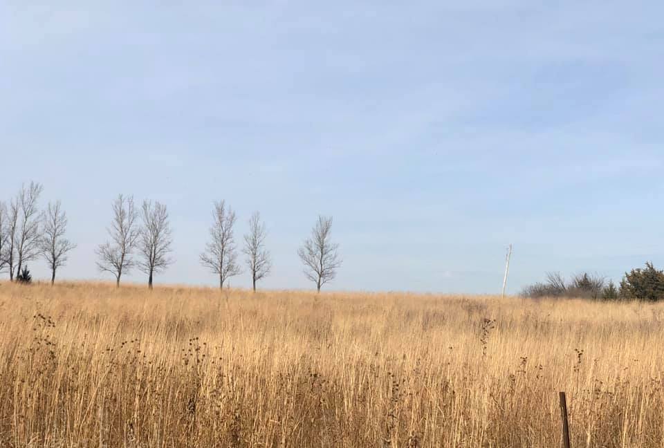 75474026_10220325237191412_7139024146112970752_n