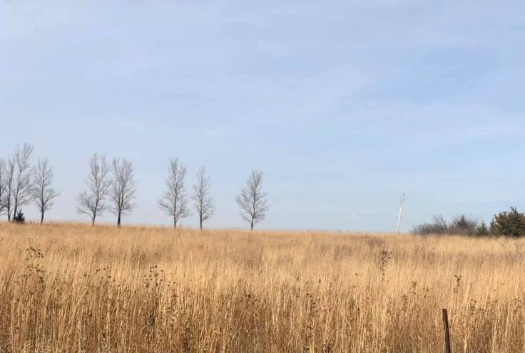 75474026_10220325237191412_7139024146112970752_n