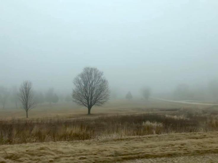 89833225_10221463680331779_1366001442116075520_n