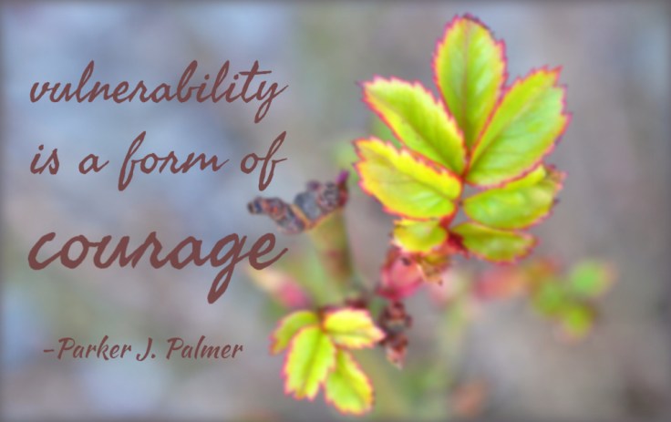 vulnerability courage